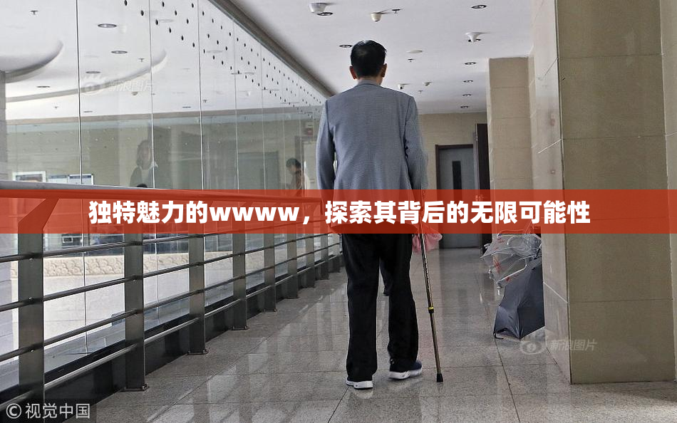 独特魅力的wwww，探索其背后的无限可能性