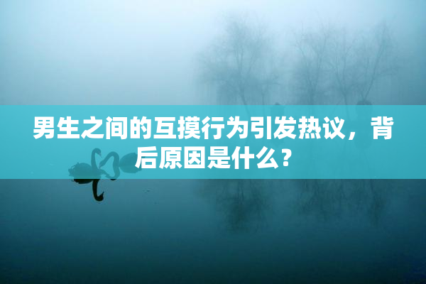 男生之间的互摸行为引发热议，背后原因是什么？