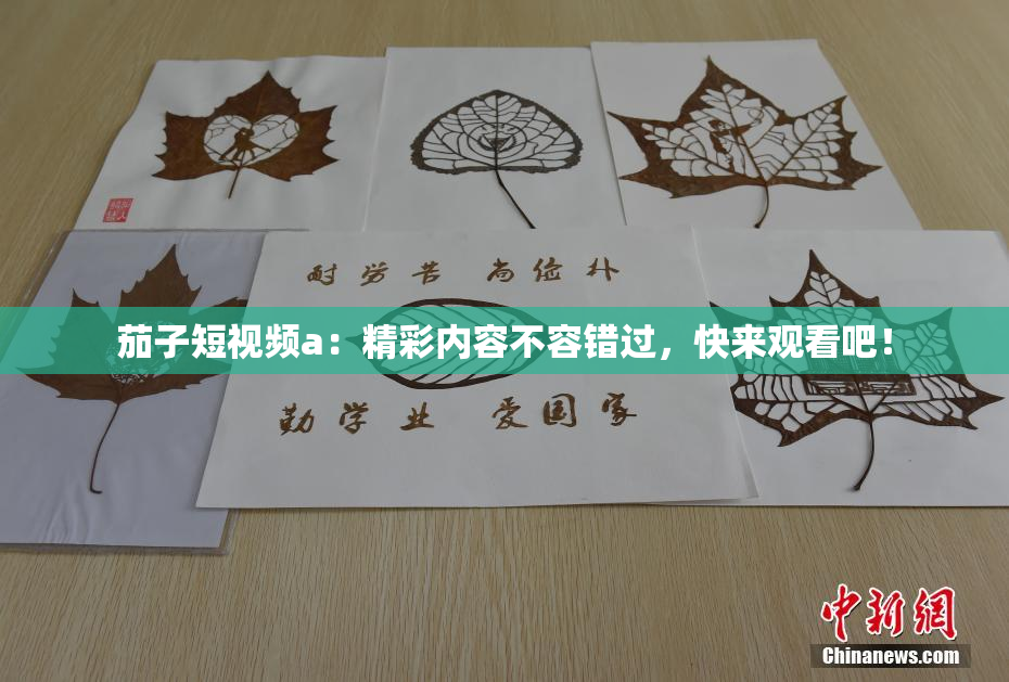 茄子短视频a：精彩内容不容错过，快来观看吧！