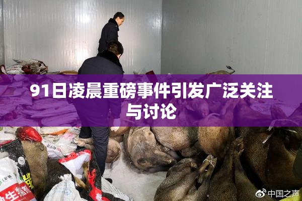 91日凌晨重磅事件引发广泛关注与讨论