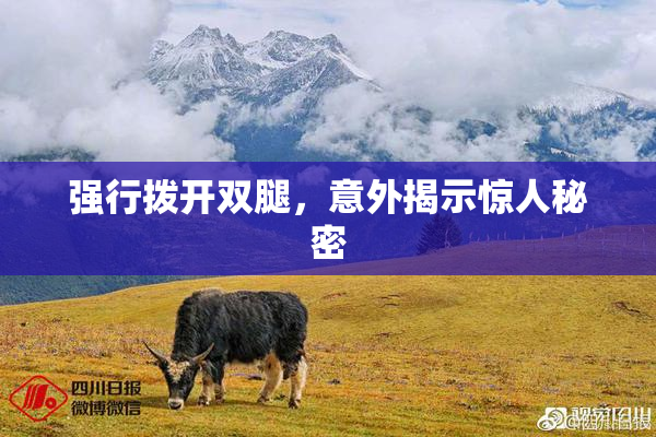 强行拨开双腿，意外揭示惊人秘密