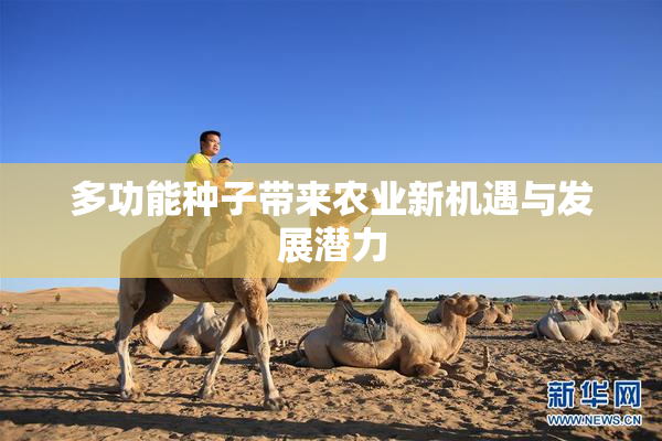 多功能种子带来农业新机遇与发展潜力