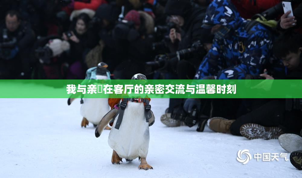 我与亲妺在客厅的亲密交流与温馨时刻