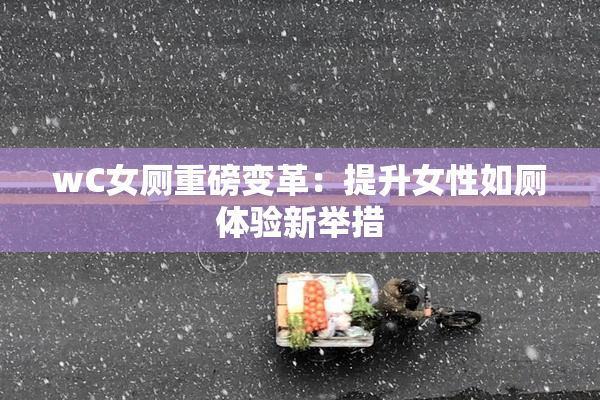wC女厕重磅变革：提升女性如厕体验新举措