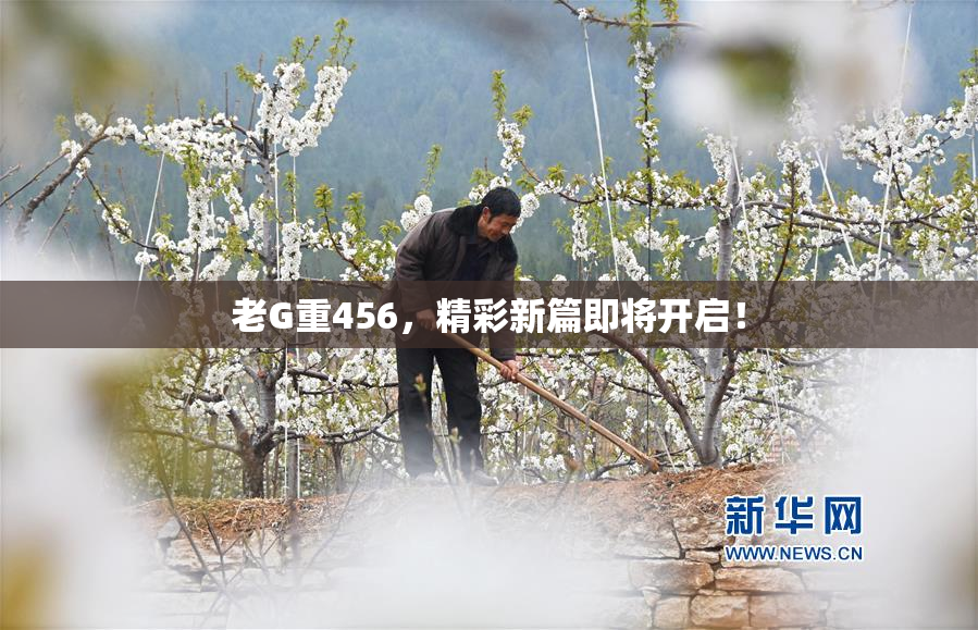 老G重456，精彩新篇即将开启！