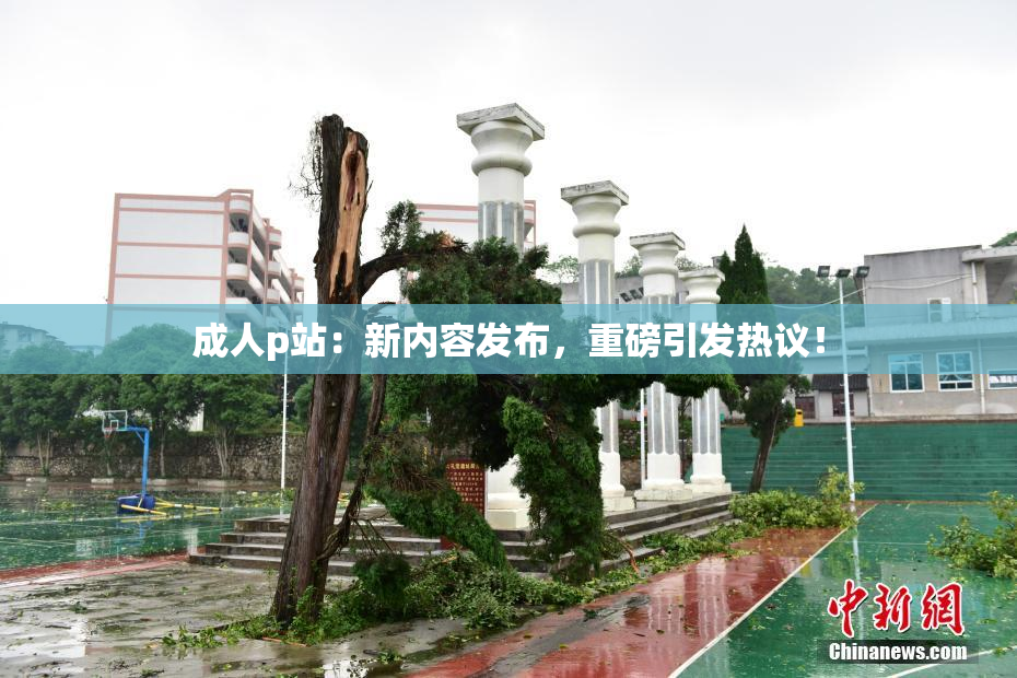 成人p站：新内容发布，重磅引发热议！