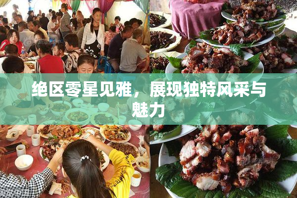 绝区零星见雅，展现独特风采与魅力