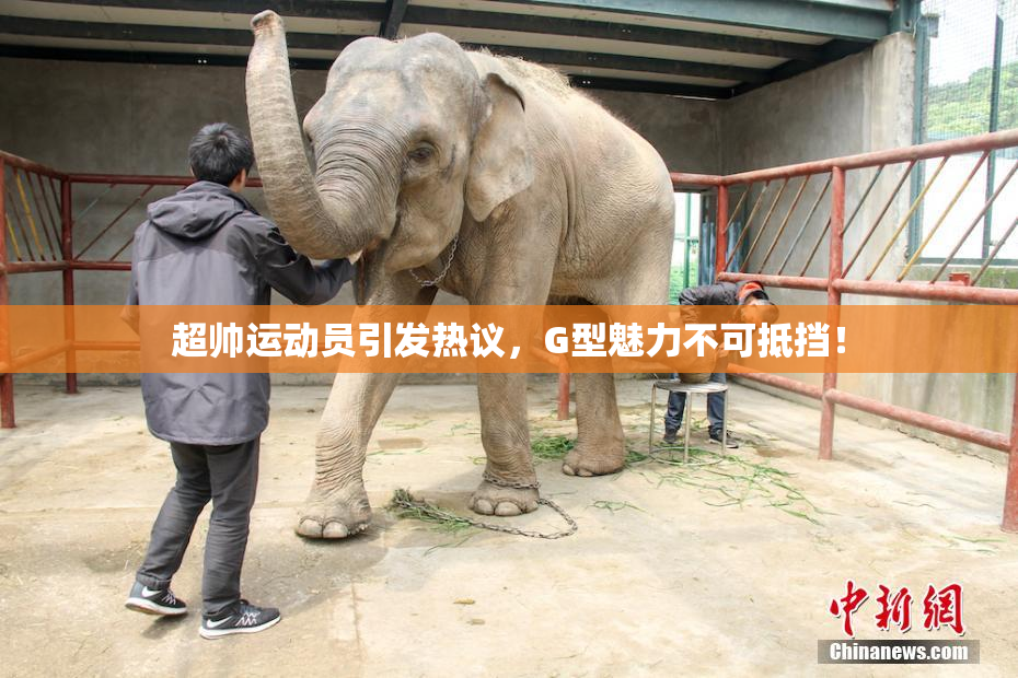 超帅运动员引发热议，G型魅力不可抵挡！