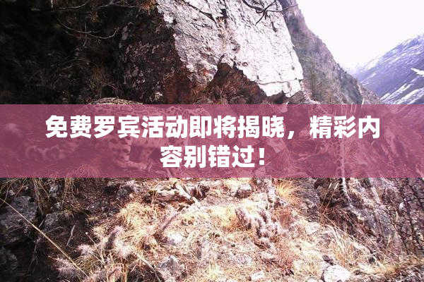 免费罗宾活动即将揭晓，精彩内容别错过！