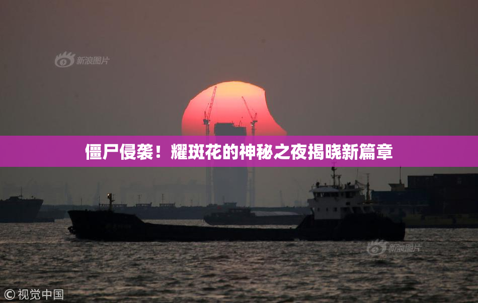 僵尸侵袭！耀斑花的神秘之夜揭晓新篇章
