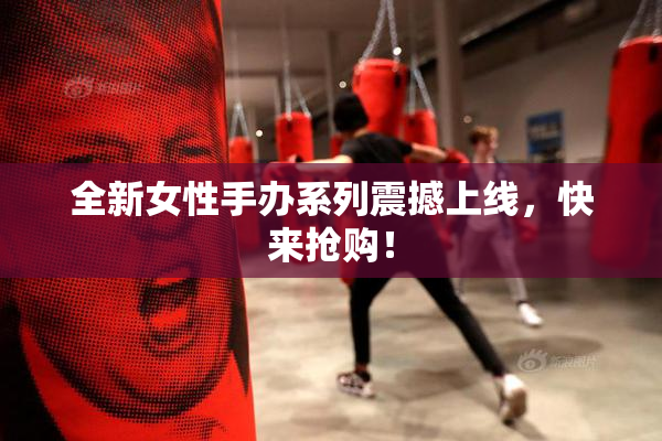 全新女性手办系列震撼上线，快来抢购！