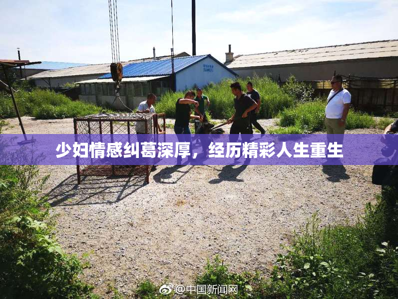 少妇情感纠葛深厚，经历精彩人生重生