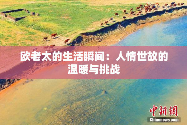 欧老太的生活瞬间：人情世故的温暖与挑战