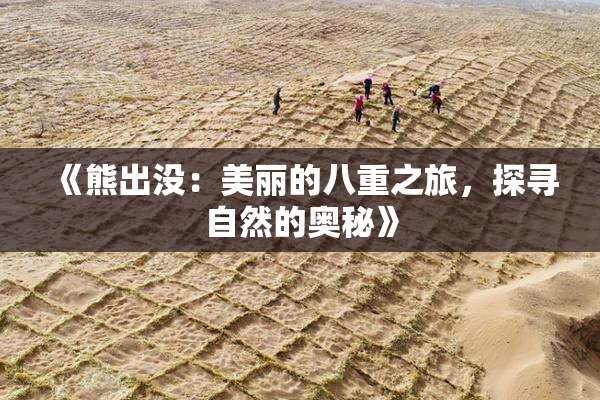 《熊出没：美丽的八重之旅，探寻自然的奥秘》