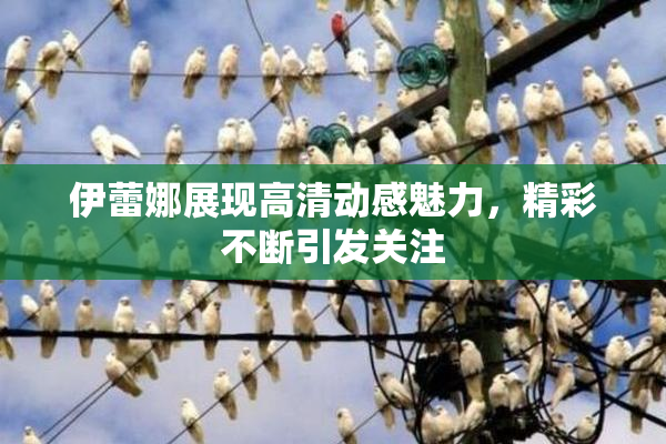 伊蕾娜展现高清动感魅力，精彩不断引发关注