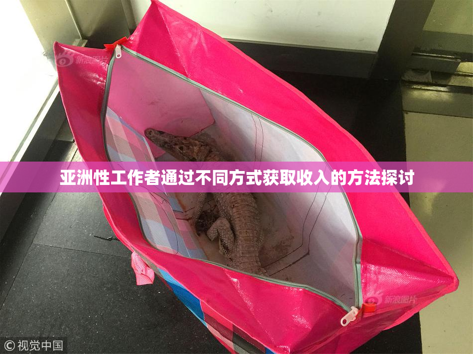 亚洲性工作者通过不同方式获取收入的方法探讨