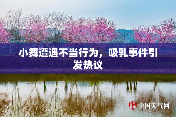 小舞遭遇不当行为，吸乳事件引发热议