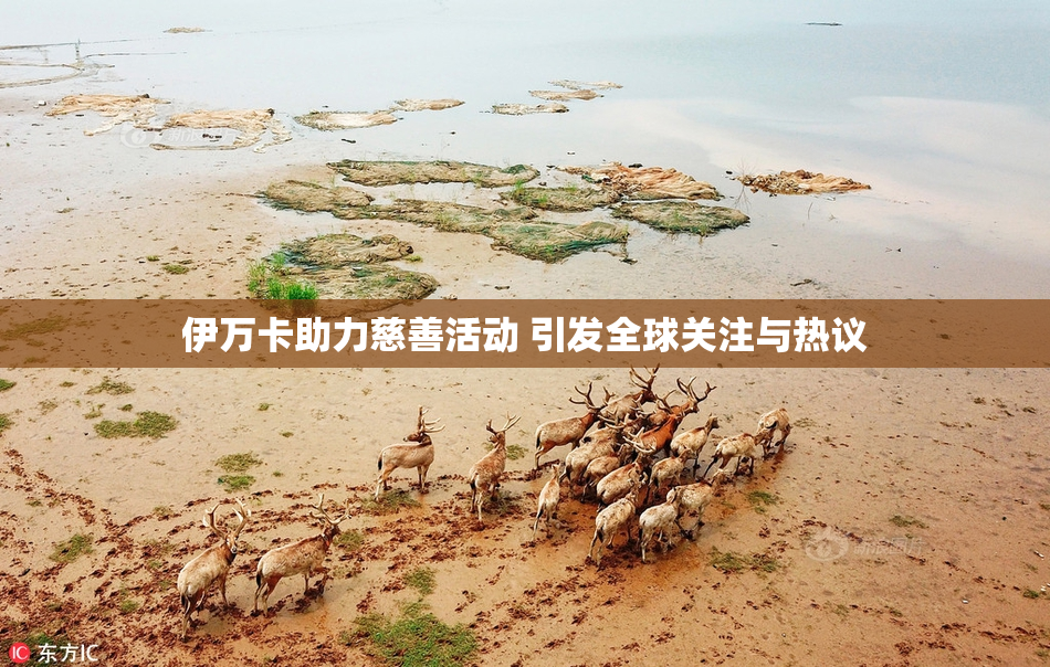 伊万卡助力慈善活动 引发全球关注与热议