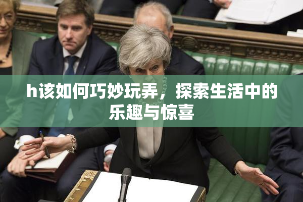 h该如何巧妙玩弄，探索生活中的乐趣与惊喜