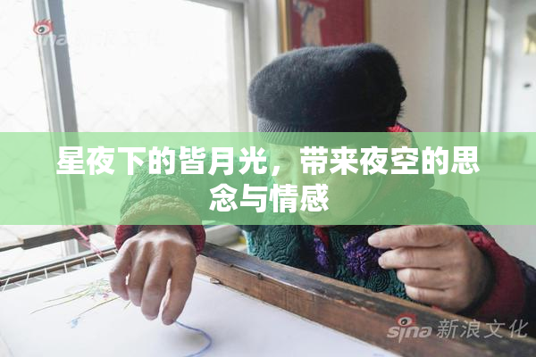 星夜下的皆月光，带来夜空的思念与情感