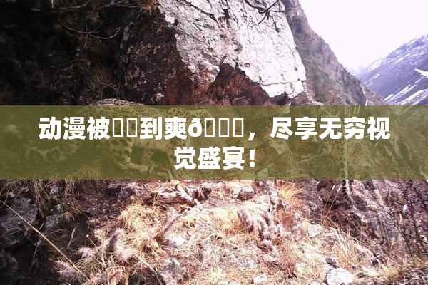 动漫被❌‌到爽🔞，尽享无穷视觉盛宴！