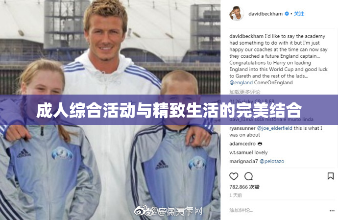 成人综合活动与精致生活的完美结合