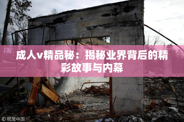 成人v精品秘：揭秘业界背后的精彩故事与内幕
