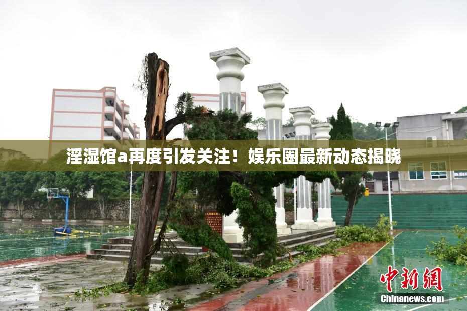 淫湿馆a再度引发关注！娱乐圈最新动态揭晓