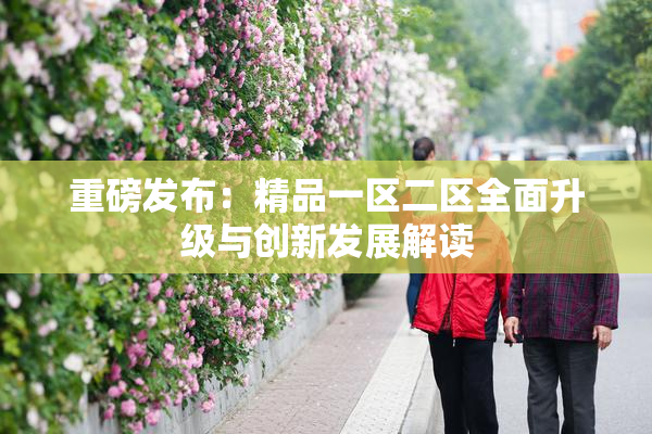 重磅发布：精品一区二区全面升级与创新发展解读