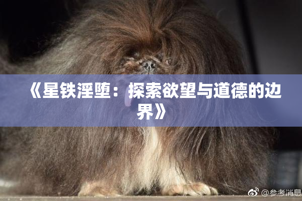 《星铁淫堕：探索欲望与道德的边界》