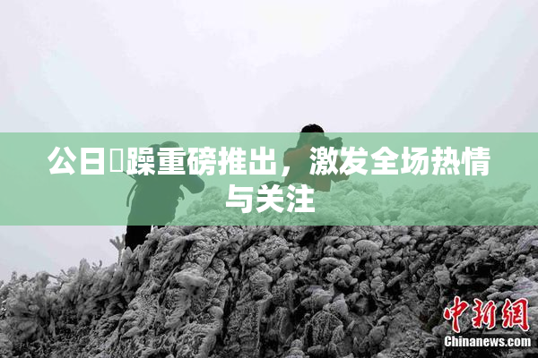 公日鬧躁重磅推出，激发全场热情与关注