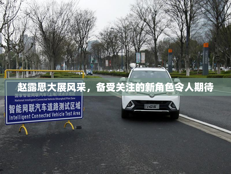 赵露思大展风采，备受关注的新角色令人期待