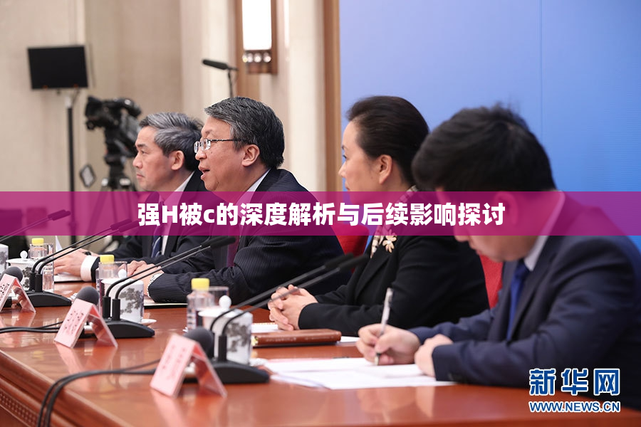 强H被c的深度解析与后续影响探讨