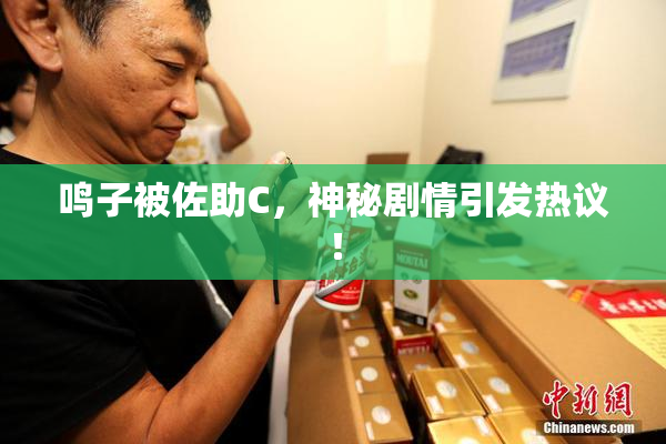 鸣子被佐助C，神秘剧情引发热议！