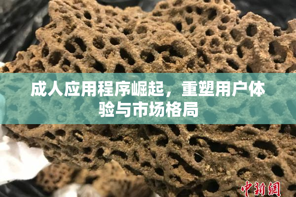 成人应用程序崛起，重塑用户体验与市场格局