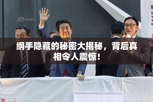 纲手隐藏的秘密大揭秘，背后真相令人震惊！