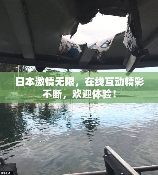 日本激情无限，在线互动精彩不断，欢迎体验！