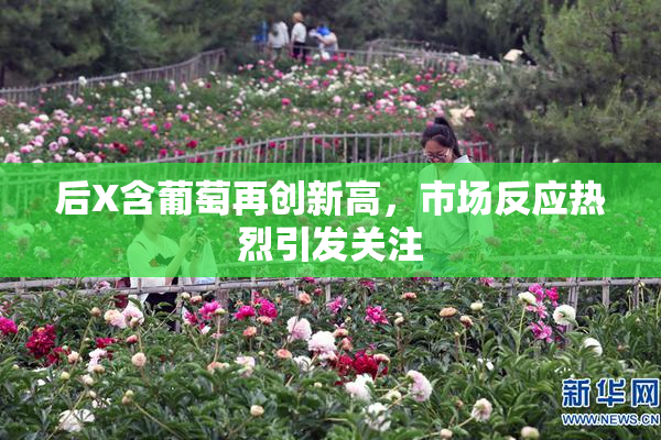 后X含葡萄再创新高，市场反应热烈引发关注