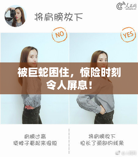 被巨蛇困住，惊险时刻令人屏息！