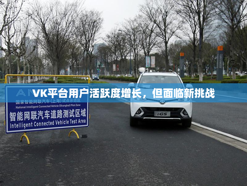 VK平台用户活跃度增长，但面临新挑战