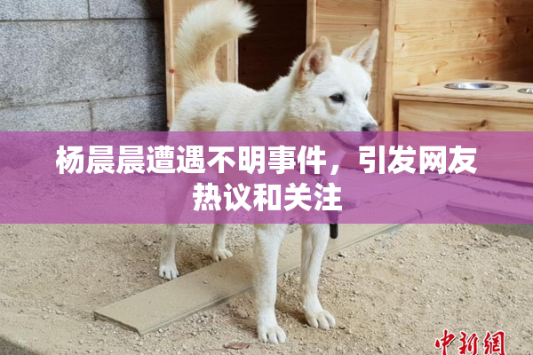 杨晨晨遭遇不明事件，引发网友热议和关注