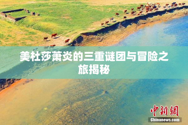 美杜莎萧炎的三重谜团与冒险之旅揭秘