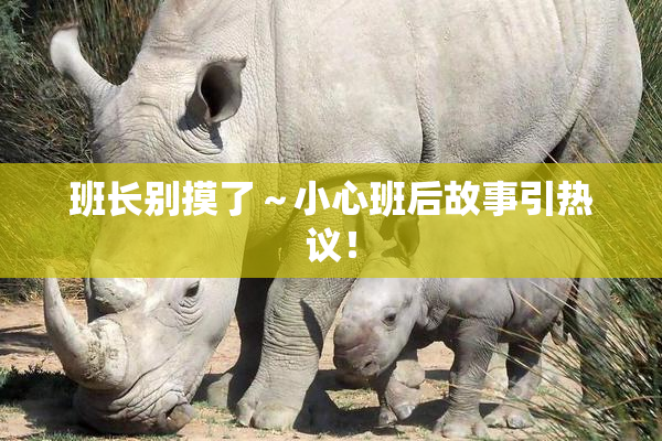 班长别摸了～小心班后故事引热议！