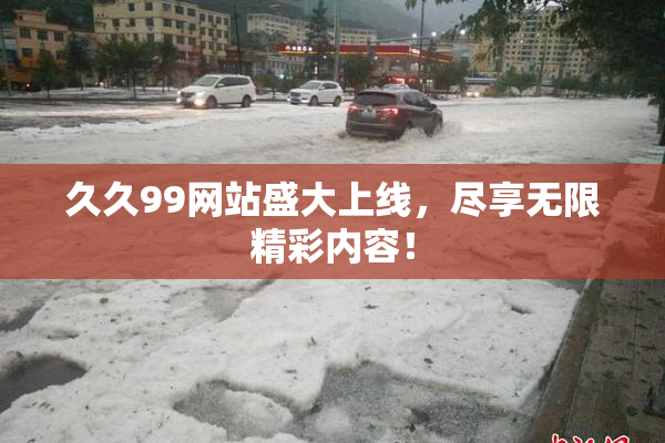 久久99网站盛大上线，尽享无限精彩内容！