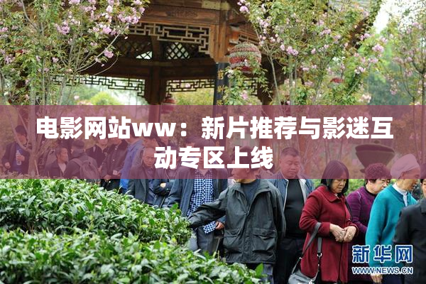 电影网站ww：新片推荐与影迷互动专区上线