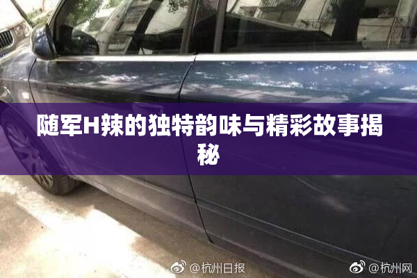 随军H辣的独特韵味与精彩故事揭秘