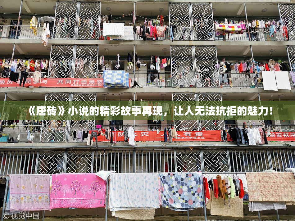 《唐砖》小说的精彩故事再现，让人无法抗拒的魅力！