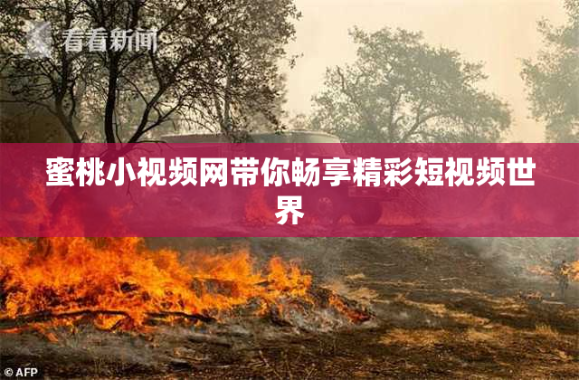蜜桃小视频网带你畅享精彩短视频世界