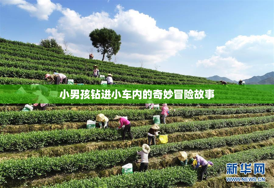 小男孩钻进小车内的奇妙冒险故事