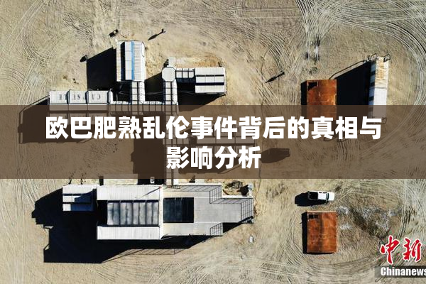 欧巴肥熟乱伦事件背后的真相与影响分析